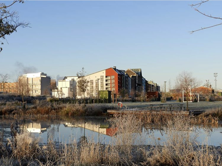 Vy över Vallastaden, med dammen i parken Paradiset i förgrunden. Foto.