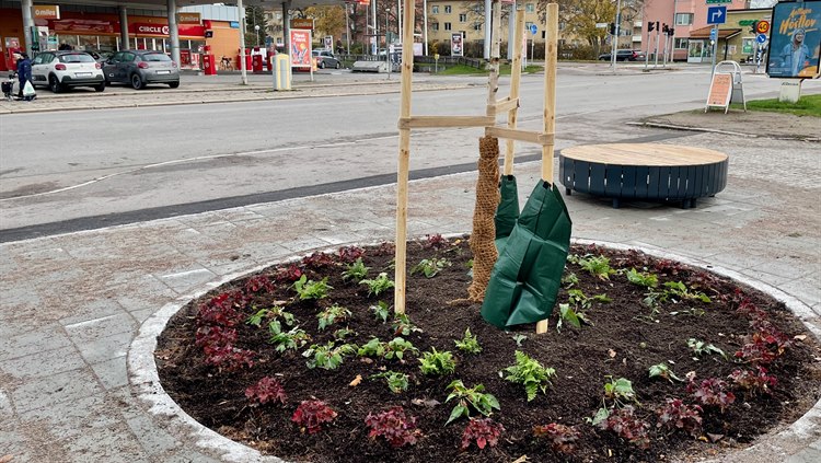 Plantering och sittplatser vid torgets entré mot Bjälbogatan.