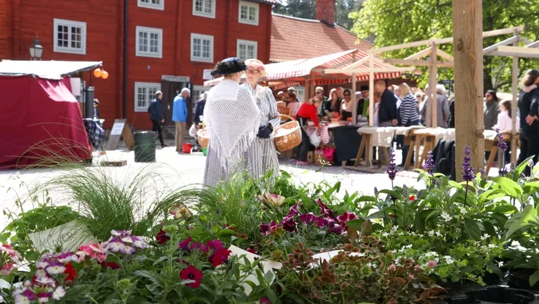 Marknaden Jättegrönt i Gamla Linköping